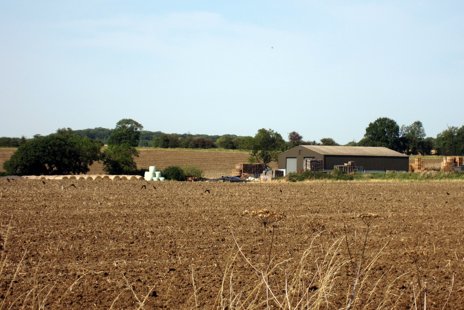 Institutional city architecture